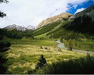 即时战略游戏《工业毁灭》Steam页面 年内发售